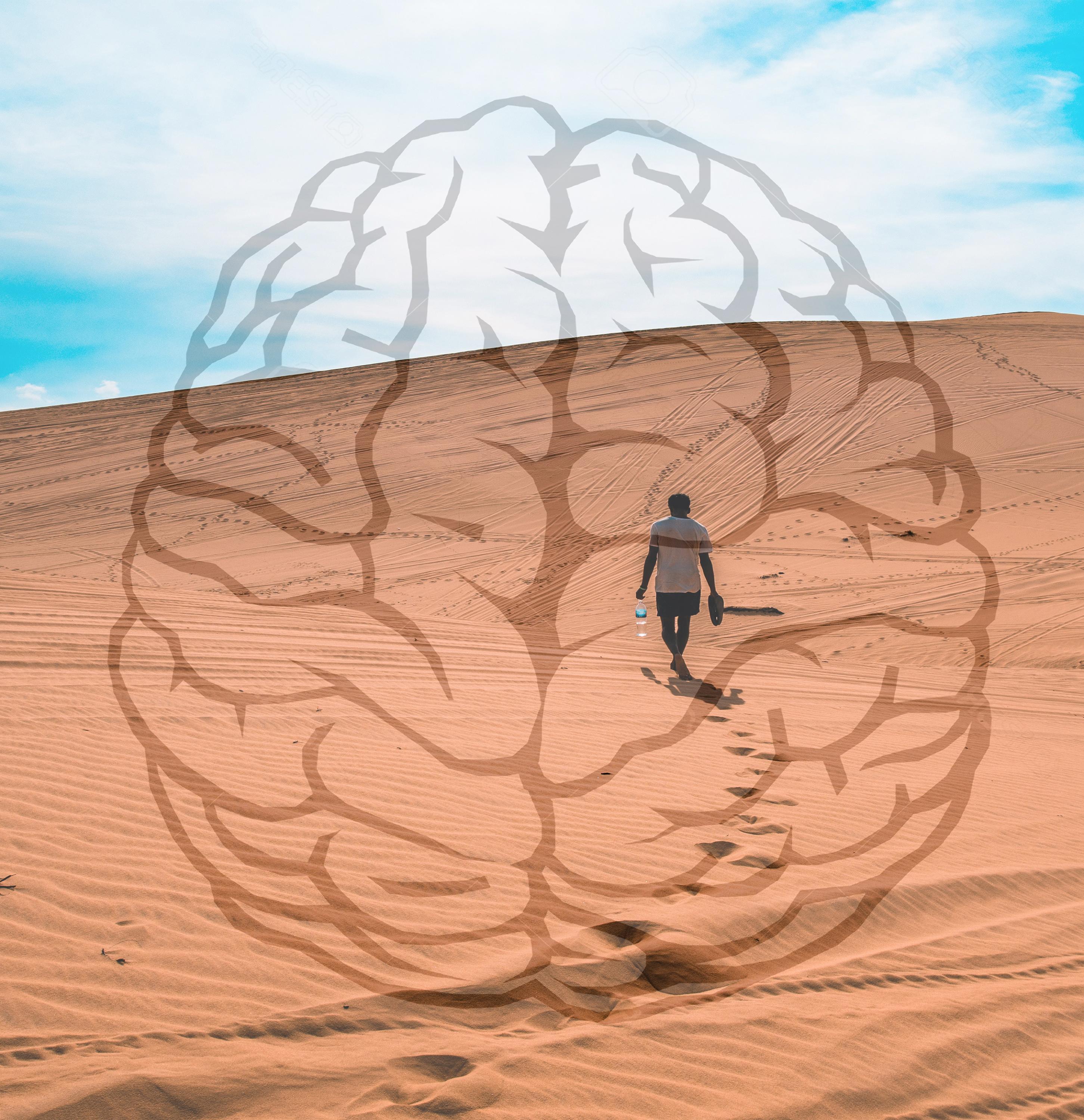 Illustration for dehydration fMRI study. Free sources: Getdrawings.com and Remi Yuan on Unsplash Illustration for dehydration fMRI study. Free sources: Getdrawings.com and Remi Yuan on Unsplash