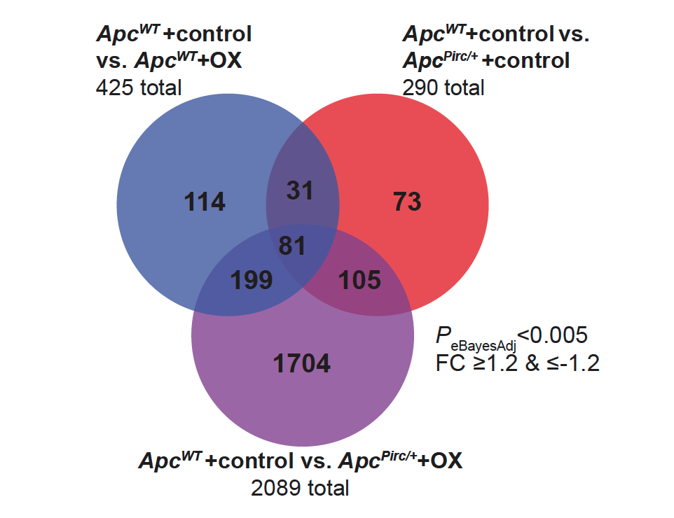 In blue, the effects of chemotherapy alone on differential neuronal gene expression. The same in red for cancer. Purple represents differential gene expression under the combination of chemo and cancer. This includes much dysregulation of genes that occurs neither with chemo alone nor cancer alone. Credit: Georgia Tech / Housley / Cope