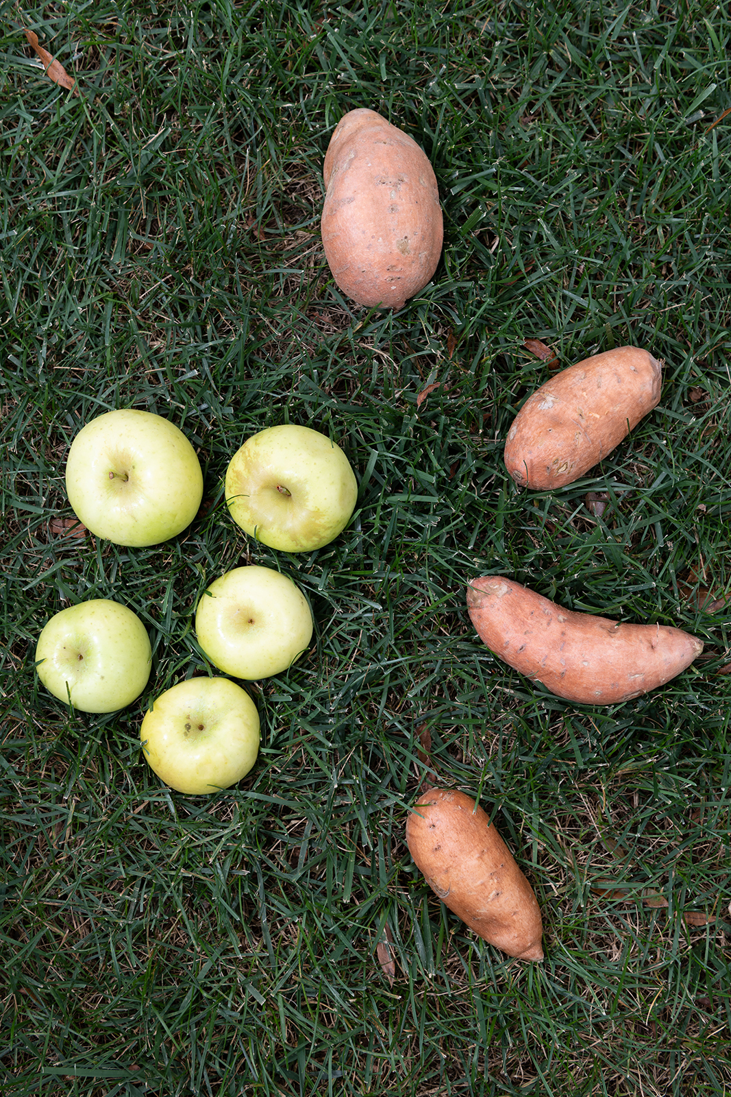 Apples and sweet potatoes were both in season during the September share.
Photo by Allison Carter