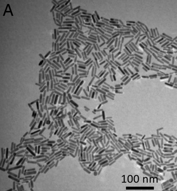 Gold nanorods. Credit: Georgia Tech / El-Sayed group