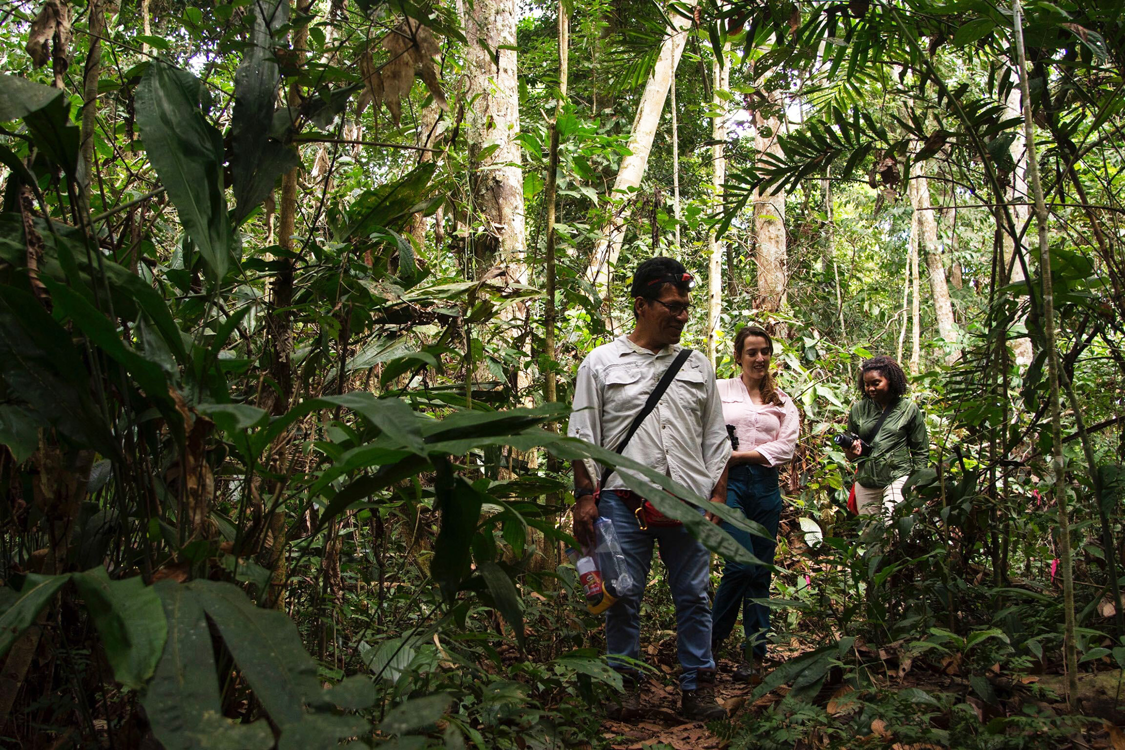 Georgia Tech researchers studied slingshot spiders in the Amazon rain forest of Peru. Shown are Jaime Navarro, a Peruvian field guide; Johanna Johnson, a Peruvian student and project volunteer; and Symone Alexander, a Georgia Tech postdoctoral researcher. (Credit: Geoff Gallice)