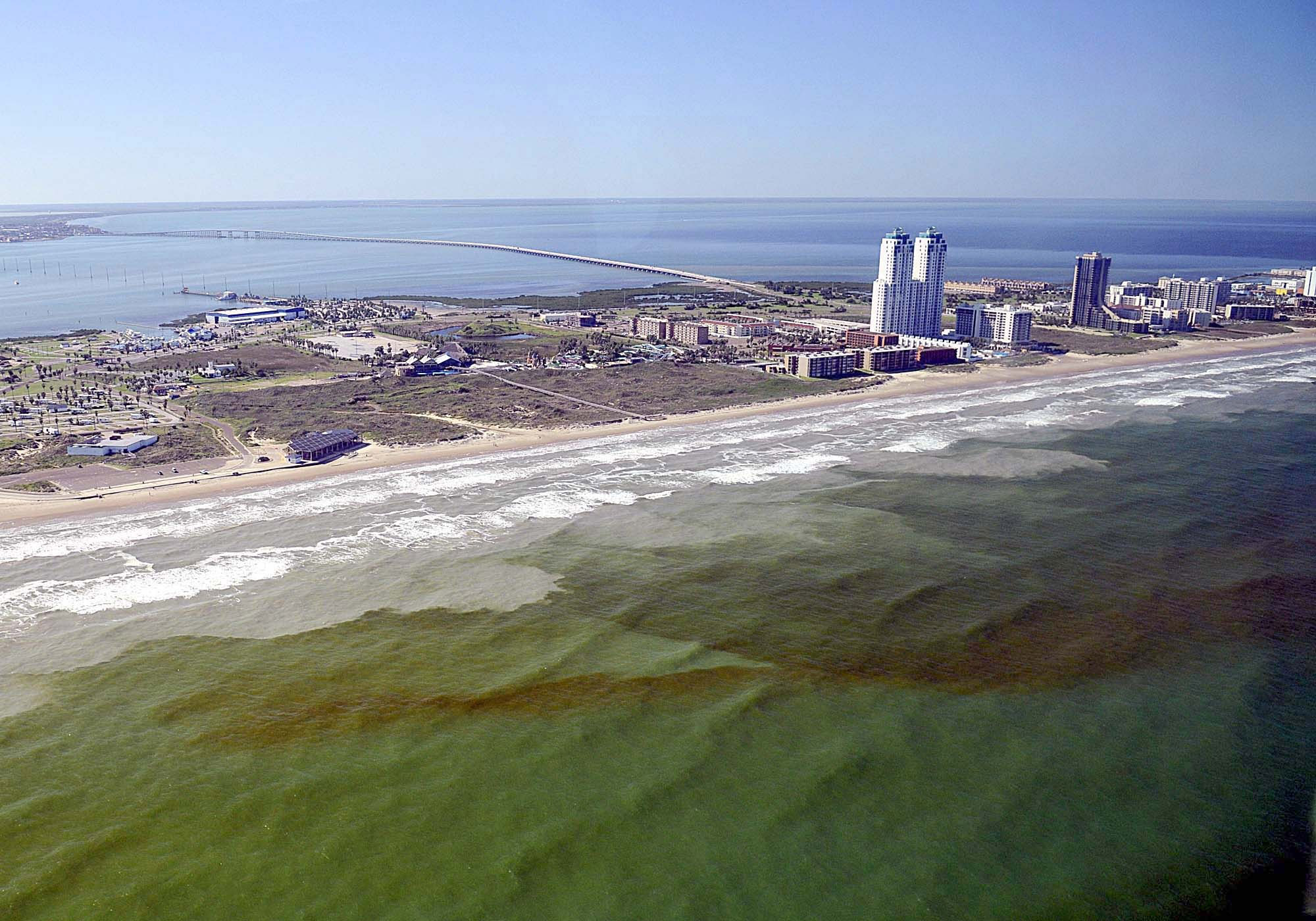 Red tide in the Gulf of Mexico. Credit: NOAA.