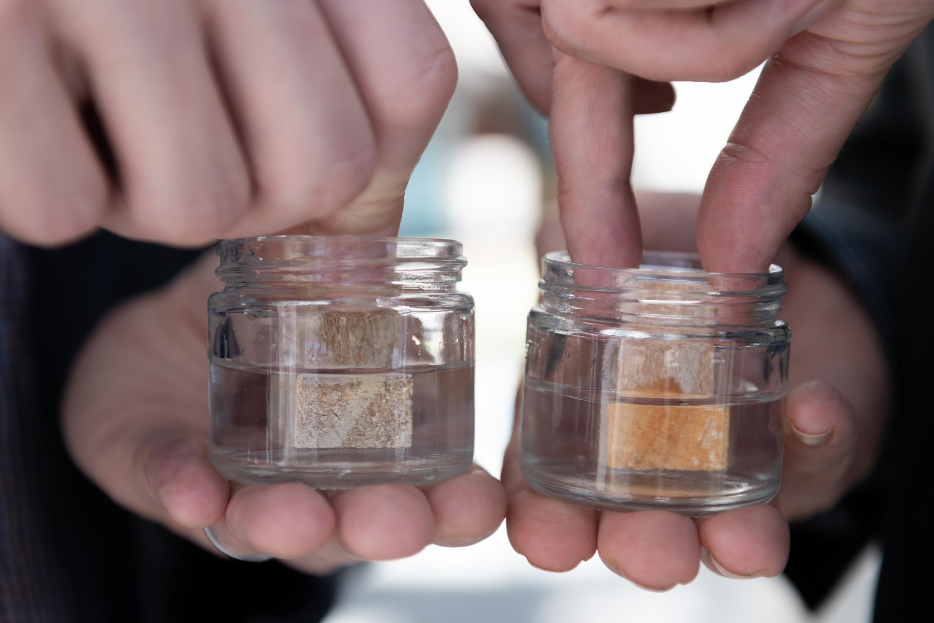 Treated and untreated pieces of lumber submerged in water. The lumber on the left has been treated using atomic layer deposition. It resists absorbing water even when submerged. On the right is untreated lumber shown for comparison. It readily soaks up water, causing a color change within seconds. (Credit: Allison Carter, Georgia Tech)