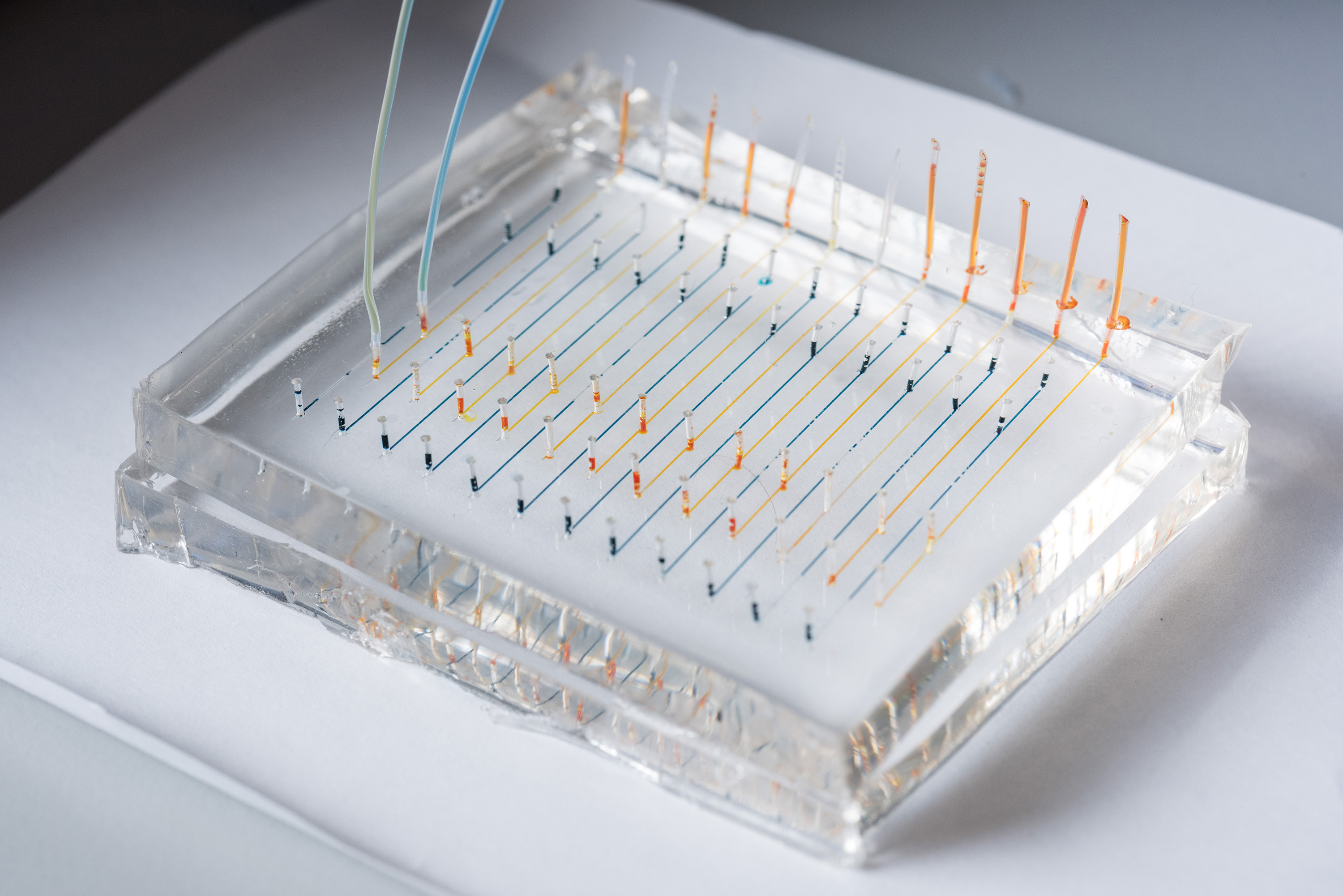 Close-up image shows a microfluidic chip used to fabricate nanoparticles that could be used to deliver therapeutic genes to specific organs of the body. Colored liquids have been added to highlight the channels. (Credit: Rob Felt, Georgia Tech)