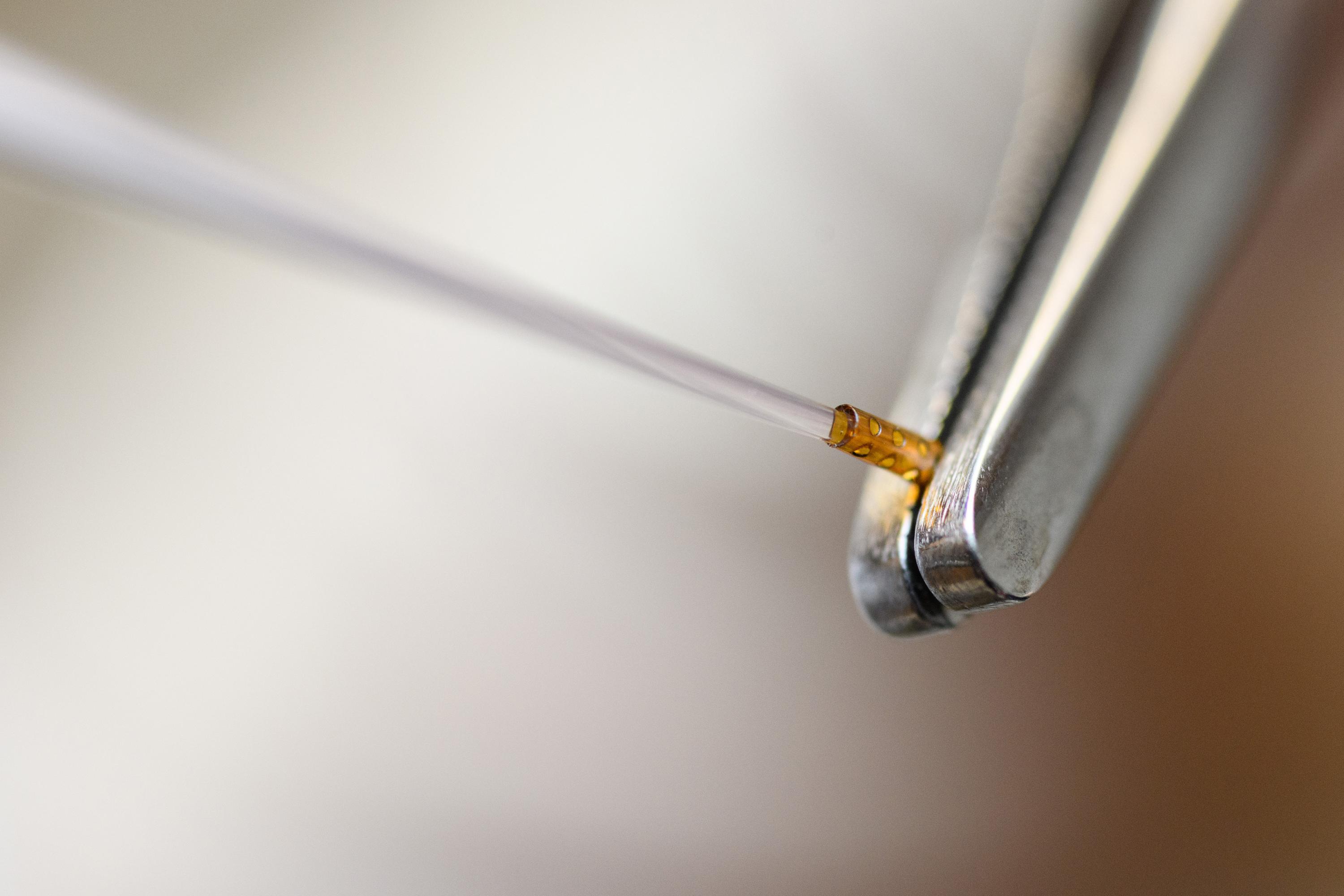 Image shows a polymerized hydrogel material that contains both an enzyme that battles bacterial infections and a protein that encourages bone growth. (Photo: Rob Felt, Georgia Tech)