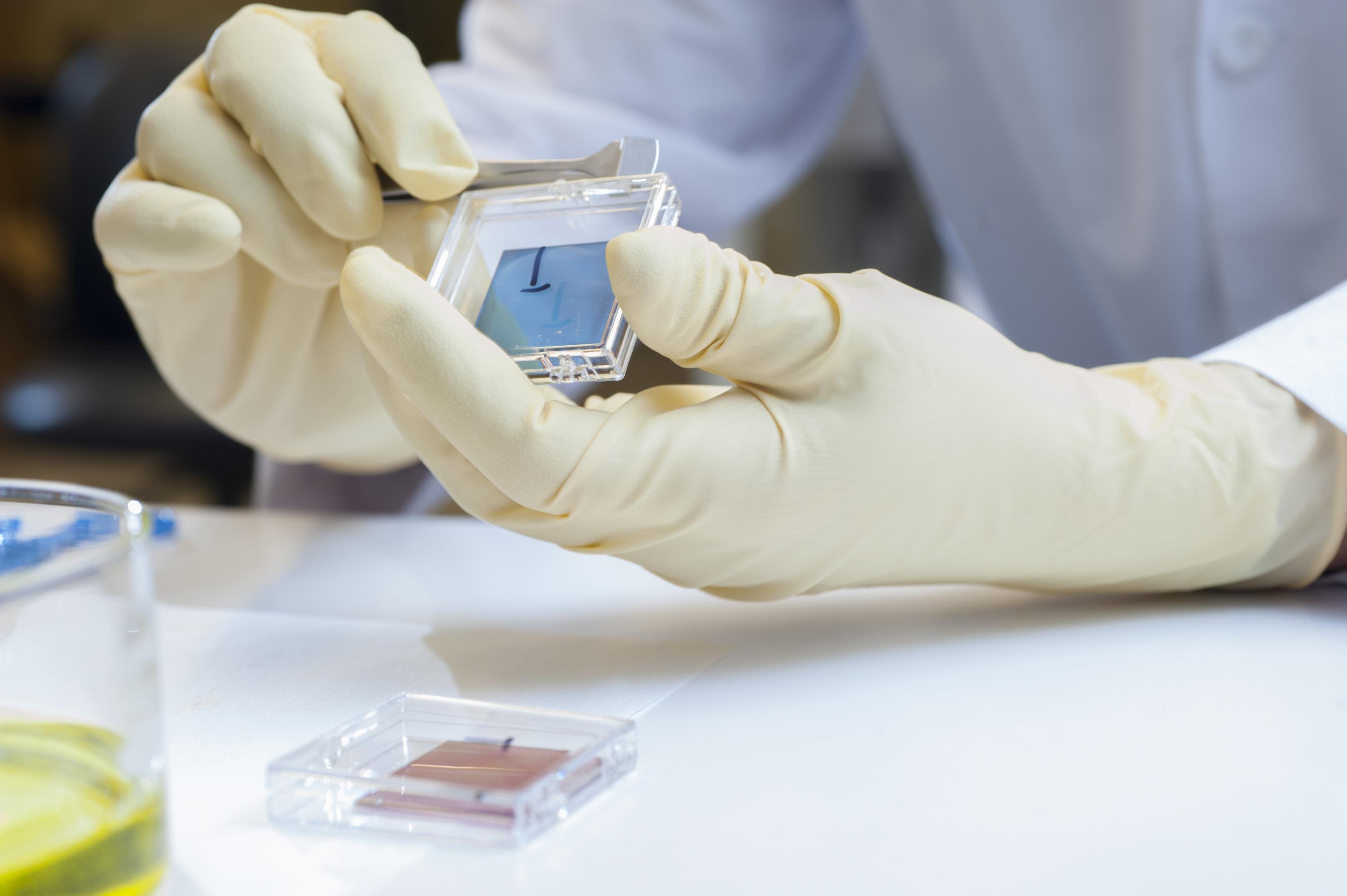 Close-up of polymer films used in polymeric solar cells doped by the new solution-based electrical doping technique. (Credit: Christopher Moore, Georgia Tech)