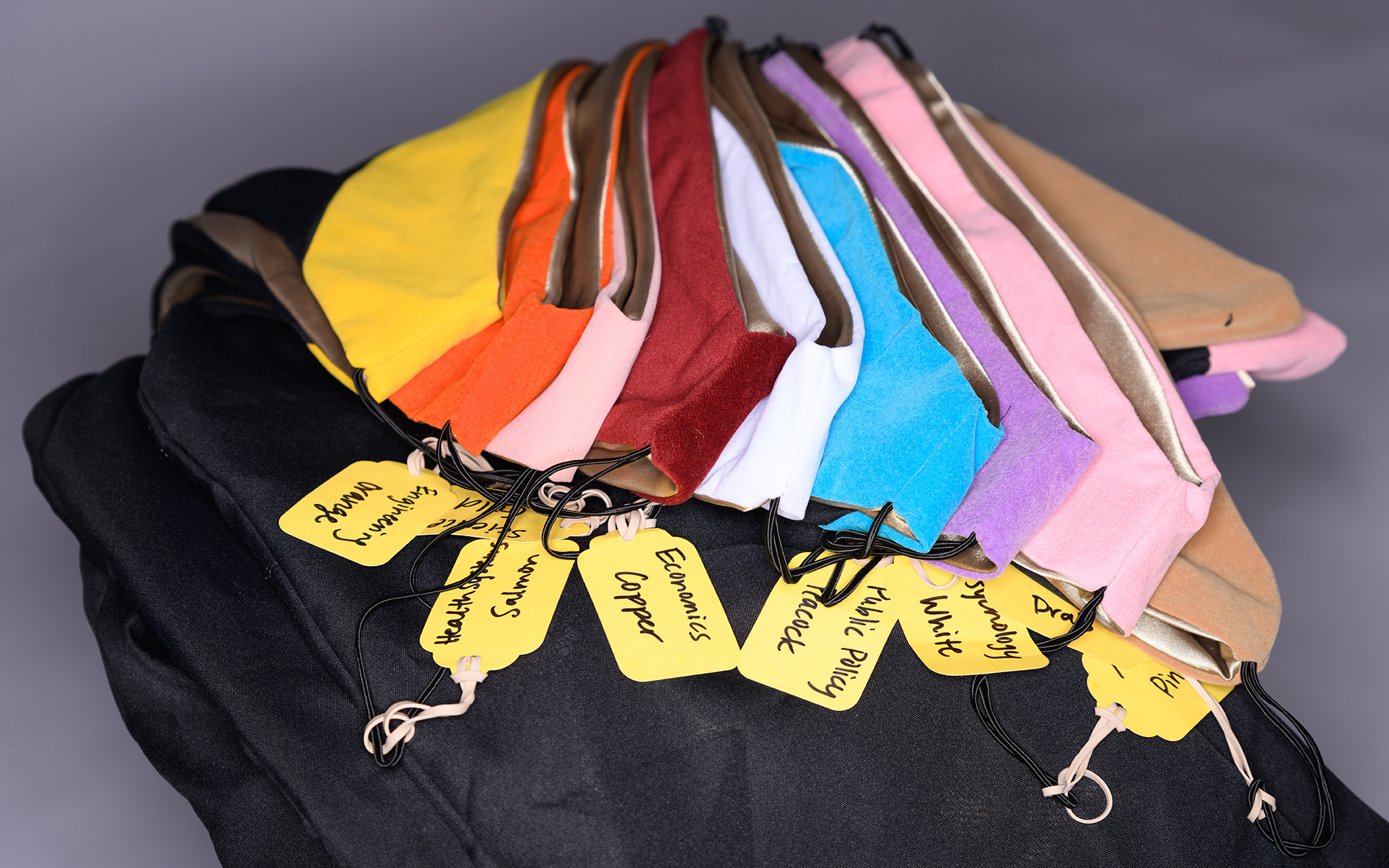 master's hood colors