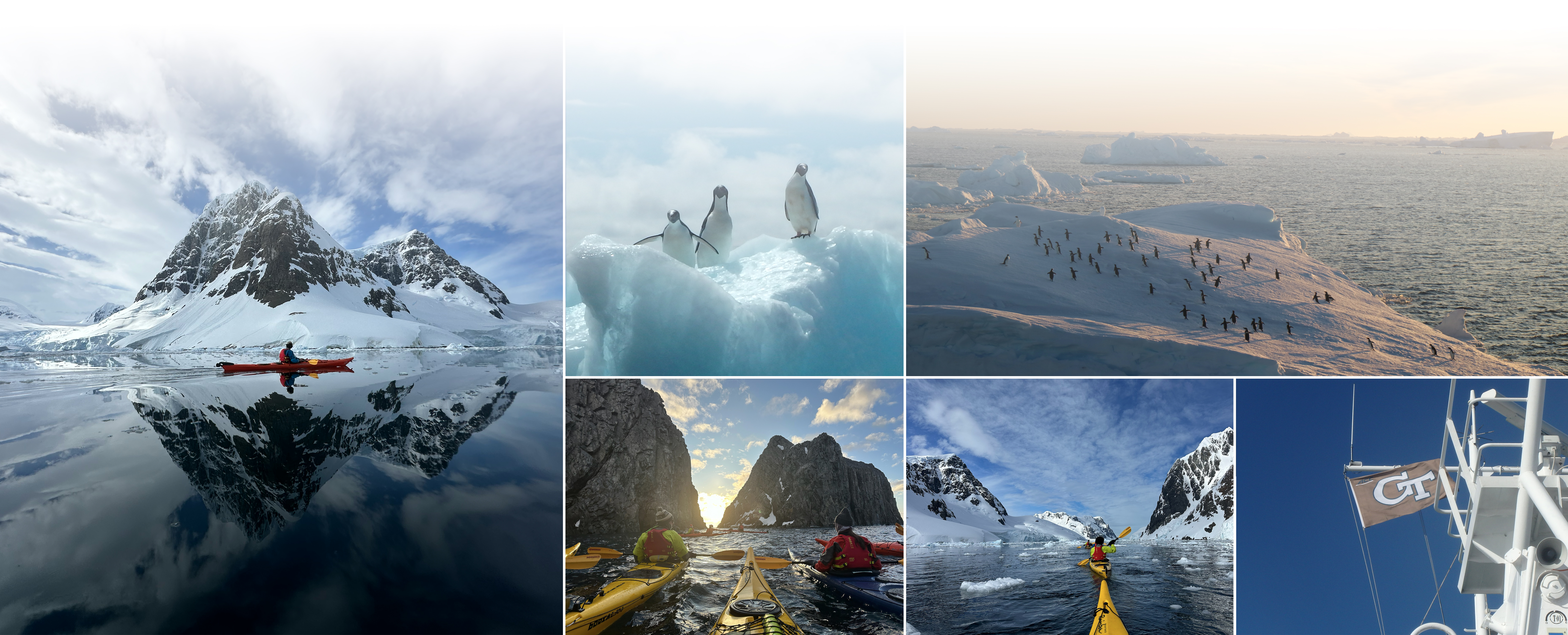 Collage of images from students kayaking in Antarctica and penguins on icebergs.