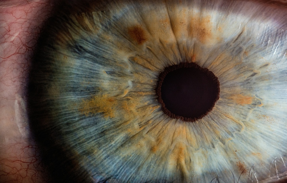 A human eye - Image from Unsplash